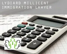 Lydiard Millicent immigration lawyer