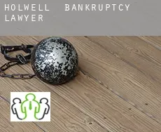 Holwell  bankruptcy lawyer