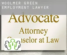 Woolmer Green  employment lawyer