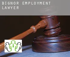 Bignor  employment lawyer