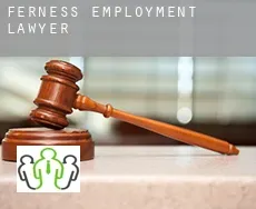 Ferness  employment lawyer