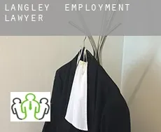 Langley  employment lawyer