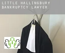 Little Hallingbury  bankruptcy lawyer