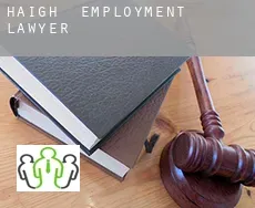 Haigh  employment lawyer