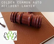 Colden Common  auto accident lawyer