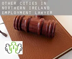 Other cities in Northern Ireland  employment lawyer