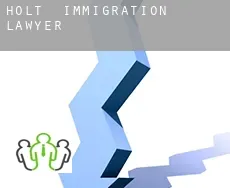 Holt  immigration lawyer