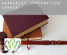 Habberley  immigration lawyer