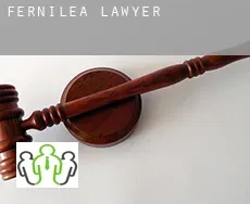 Fernilea  lawyer