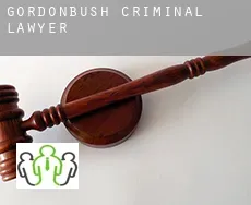 Gordonbush  criminal lawyer