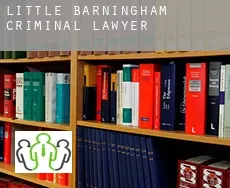 Little Barningham  criminal lawyer