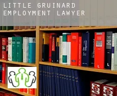 Little Gruinard  employment lawyer