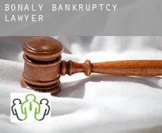 Bonaly  bankruptcy lawyer