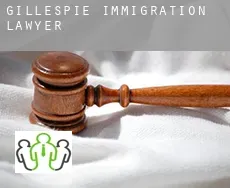Gillespie  immigration lawyer