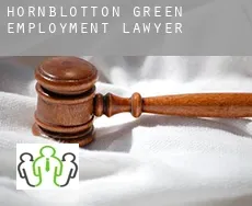 Hornblotton Green  employment lawyer