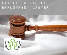 Little Brickhill  employment lawyer