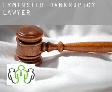 Lyminster  bankruptcy lawyer
