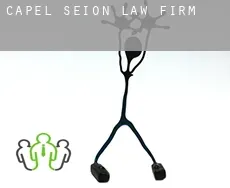 Capel Seion  law firm