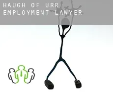Haugh of Urr  employment lawyer