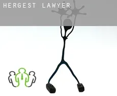 Hergest  lawyer