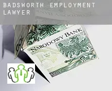 Badsworth  employment lawyer