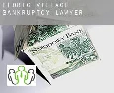 Eldrig Village  bankruptcy lawyer