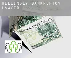 Hellingly  bankruptcy lawyer