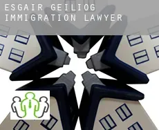 Esgair-geiliog  immigration lawyer