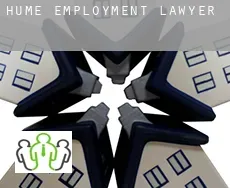 Hume  employment lawyer