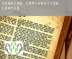 Sonning  immigration lawyer