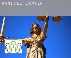 Arnicle  lawyer