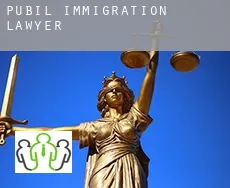 Pubil  immigration lawyer