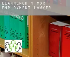 Llannerch-y-môr  employment lawyer