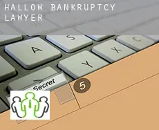 Hallow  bankruptcy lawyer