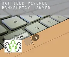 Hatfield Peverel  bankruptcy lawyer