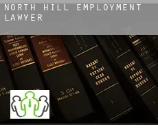 North Hill  employment lawyer
