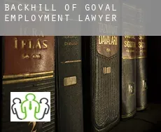 Backhill of Goval  employment lawyer