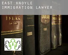 East Knoyle  immigration lawyer