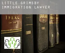 Little Grimsby  immigration lawyer