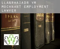 Llanrhaiadr-ym-Mochnant  employment lawyer