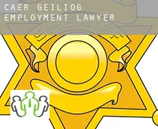 Cae’r-geiliog  employment lawyer