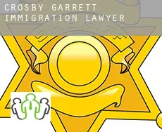 Crosby Garrett  immigration lawyer