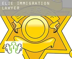 Elie  immigration lawyer