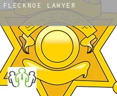 Flecknoe  lawyer