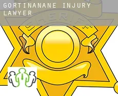Gortinanane  injury lawyer