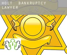 Holt bankruptcy lawyer