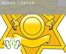 Marsh lawyer