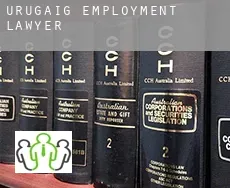 Urugaig  employment lawyer