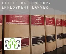 Little Hallingbury  employment lawyer