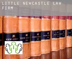 Little Newcastle law firm